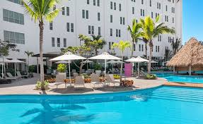 Image result for Oldenlandia verrucitesta