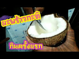 การทำให้มะพร้าวทั่วๆไปกลายเป็นมะพร้าวกะทิ สามารถทำได้จริงหรอครับ ผมเห็นเค้าแชร์กัน ข้อมูลจาก facebook เพจ ฟาร์มดี (ฟาร์มไส้เดือนของคนพิการ) โดย. à¸¡à¸°à¸à¸£ à¸²à¸§à¸à¸°à¸ à¸§ à¸ à¸ à¸ à¸¡à¸°à¸à¸£ à¸²à¸§à¸à¸°à¸ à¸à¸£ à¸à¹à¸£à¸à¹à¸à¸à¸²à¸£à¸ à¸à¸¡à¸°à¸à¸£ à¸²à¸§à¸à¸°à¸ Youtube