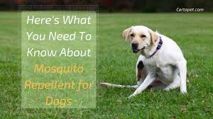 mosquito repellent for dogs