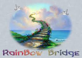 We did not find results for: Rainbow Bridge