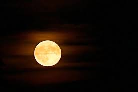 Lune et jardin a franchi un nouveau cap, puisque nous avons dépassé les 500 000 téléchargements sur android. Pour Ou Contre Jardiner En Fonction Des Mouvements De La Lune L Avis De Specialistes A Vichy Vichy 03200
