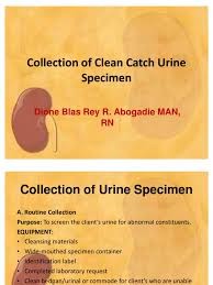 Image result for Clean Catch Urine Collection