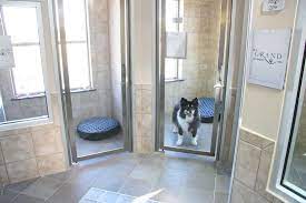 Luxe Living For Your Pets Indoor Dog Kennel Pet Boarding Dog Boarding Facility