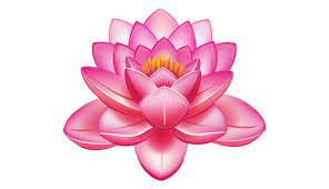 Buddhist Symbols For Inner Peace Spiritual Experience Lotus Flower Art Lotus Flower Images Lotus Art