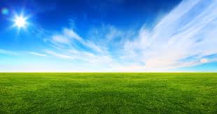 He bemoaned the drought but went on watering his lawn. Lawn Meaning Online Discount Shop For Electronics Apparel Toys Books Games Computers Shoes Jewelry Watches Baby Products Sports Outdoors Office Products Bed Bath Furniture Tools Hardware Automotive Parts Accessories