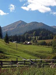 L'ucraina paesaggio di stepnoy strada campestre. Carpathian Mountings Ukraine From Iryna Paesaggi Meraviglie Naturali Ucraina