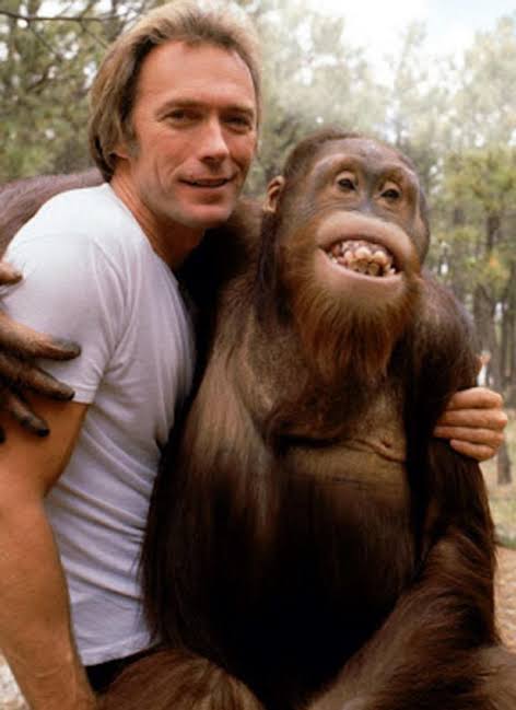 Every Which Way But Loose” (1978) starring Clint Eastwood, Sandra Locke,  and Manis 'Clyde' the Orangutan : r/70s