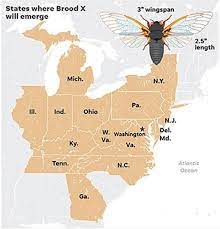When and where will they arrive in pennsylvania? Is A Plague Of Locusts Next What To Know About The 17 Year Cicadas About To Arrive Lifestyles Dailyprogress Com