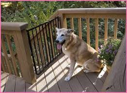Indoor railing and outdoor deck guard, baby proofing and pet safety, . Pet Proofing Booboobusters
