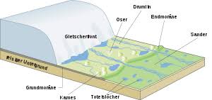 Hasenpfeffer war eine speise in brauner pfefferbrühe. Letzte Kaltzeit Wikipedia