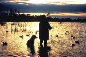 Wayne Dickman Obituary (2011)