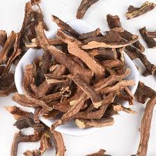 Image result for Drynaria