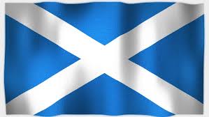 The flag is called the saltire or the saint andrew's cross. Shutterstock