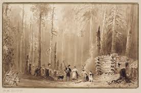 Searching for JMC's roots: Daily life in the Stanstead area, 1784-1817