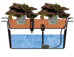 It is not essential to have an experience of years to construct your own indoor grow system. Advantages Of Ebb Flow