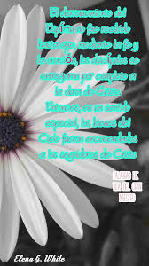Pin En Elena G White Frases