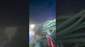 玉ねぎ収穫 葉切り作業 Youtube