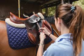 You could not use a horse or any random truck because camel hooves and feet are made. Saddle Stock Photos Offset