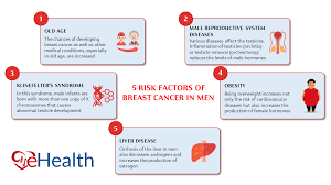Compared to 1 in 8 for women in the u.s. Discover Breast Cancer In Males Risk Factors 2021 Ehealth Magazine