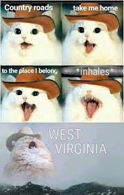 Maybe you would like to learn more about one of these? Cowboy Cat 9gag