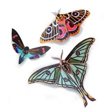 We did not find results for: The Antiquarian Collection Mothandmyth