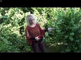 Krauterlehrgang Das Wildkraut Beifuss Artemisia Vulgaris Youtube Krauter Pflanzen Heilpflanzen Beifuss