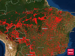Amazon Rainforest Fires Satellite Images And Map Show Scale