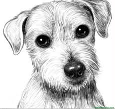 Ver más ideas sobre dibujos, dibujos fáciles, dibujos simples tumblr. Dibujos A Lapiz Web Del Maestro