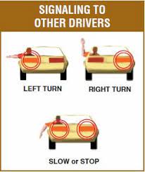 Hand signals for driving are used to alert other road users of your next move when your car light signals can not be used. Turn Signals 101 Driving Basics Driving Tips For Beginners Learning To Drive