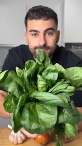 Patricia Auerbach (prauerbach01) — Perfil