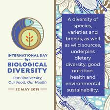 The united nations has proclaimed may 22 the international day for biological diversity (idb) to increase understanding and awareness of biodiversity issues. International Day Of Biological Diversity