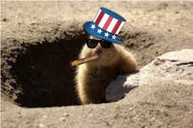 Phil is at least 132 years old, according to the inner circle of the groundhog club in punxsutawney. Phraudsutawney Phil This Age Of Sabermetrics Has Been Tough By Matt Dallhoff Medium