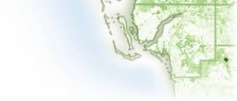 Child sex sting nabs 25 suspects