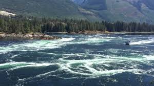 Best Time To See Skookumchuck Narrows In British Columbia