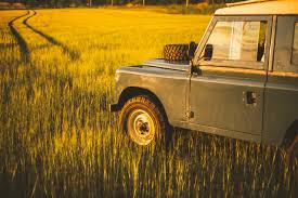 Image result for Limestone 1981 Land Rover