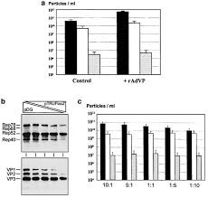 Image result for White 1996 AAV