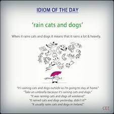 Rain Cats Ad Dogs Idioms Voc Elt Idioms And Phrases English Phrases English Idioms