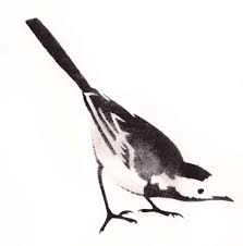 Lucid Design A Versatile Graphic Design Studio Based In Brighton East Sussex Branding Illustration Publications Wagtail Tattoo Wildlife Artwork Bird Art