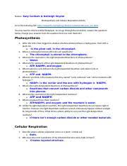 I need the mouse genetics (two traits) answer key! Science 1 Biology Hilton Head High