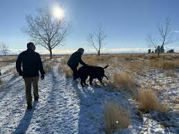 It's now been just over six weeks since elsa hosk gave birth to her first child: Tom Campbell S Hill Alberta Canada Alltrails