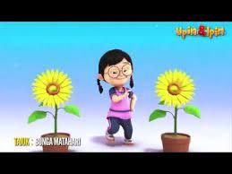 Matahari terbentuk sekitar 4,6 miliar tahun yang lalu akibat peluruhan gravitasi suatu wilayah di dalam sebuah awan molekul besar. Download Lirik Bunga Matahari Upin Ipin Mp3 Dan Mp4 Tanpa Ribet Gratis