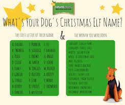 If you want the best elf name for christmas elf tradition. Natures Menu Comment Below With Your Dog S Christmas Elf Name We D Love To See Pics Of Your Pooches Too Facebook