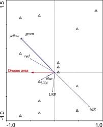 Check spelling or type a new query. Calcium Oxalate Druses Affect Leaf Optical Properties In Selenium Treated Fagopyrum Tataricum Sciencedirect