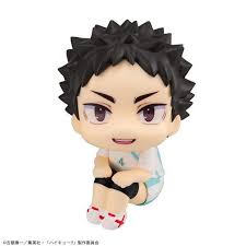 Haikyuu!! Iwaizumi Hajime Goods 6-Piece Set Nendoroid 699 Hajime Iwaizumi  Haikyu!!