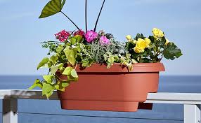Maybe you would like to learn more about one of these? Bloem Deck Balcony Rail Planter 24 Terra Cotta