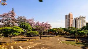 Londrina, city, northern paraná estado (state), southeastern brazil. Cheap Flights To Londrina From 332 In 2021 Momondo
