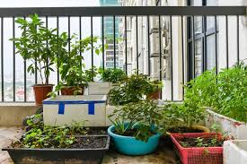 Perabotan tersebut jangan sampai berlebihan. Ingin Berkebun Di Balkon Apartemen Perhatikan 5 Hal Ini Terlebih Dulu Halaman All Kompas Com