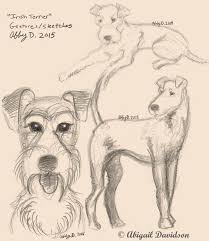 New Dog Art Irish Terrier Irish Terrier Aesthetic Drawing Dog Art