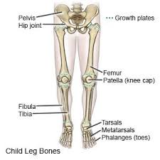 Aug 12, 2019 · sinus infections are common and can be a major health problem. Leg Fracture In Children What You Need To Know