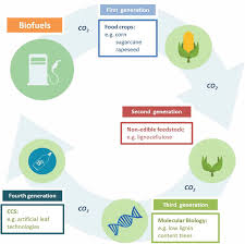 Prospective Biodegradable Plastics From Biomass Conversion